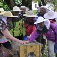 Galar, pszczoły i wędzenie – wycieczka Ekomuzeum Doliny Karpia