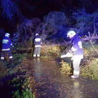 Ciężka noc strażaków – wichura łamie drzewa