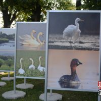 Wernisaż plenerowej wystawy fotograficznej – „Z Przyrodą Gminy Tomice i Miasta Trstena na Tak”